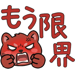 丸顔アカゲザル21