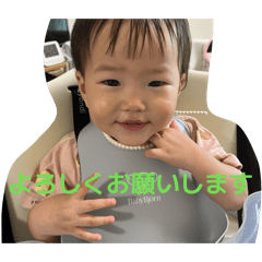 mi_yama_20260123095409