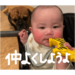 Honey_20260122230909