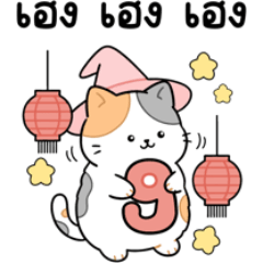 Calico Cat, the superstitious cat.