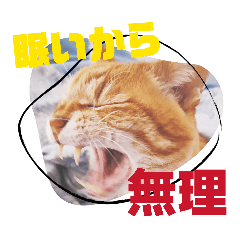 morimorimoan_20260123005920