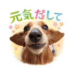 Wheel chair dog Bart Cute Stickers 1