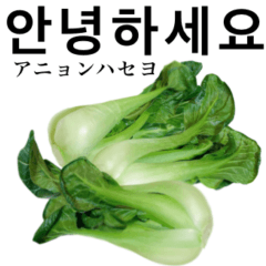 Flesh "Bok choy" 11