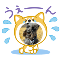 Kana_20260123063716