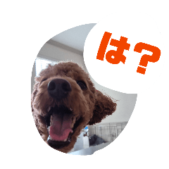 momoimo_20260120222245