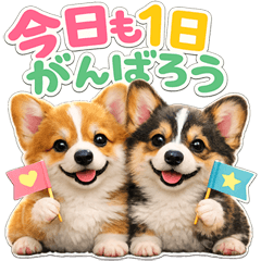 とびだす★コーギーのきづかい♡