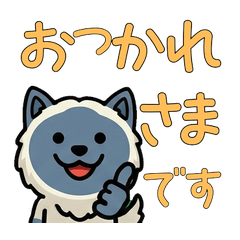 Overreaction Blue Point Cat  3rd