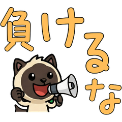 Animated Polite Seal Point Cat  6th