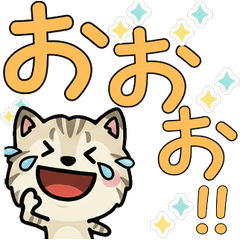 Animated Lynx Point Cat  4th