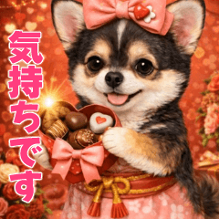 毎日のチワワ（２月ごろ）