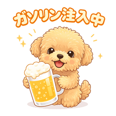 お酒大好き！マルプーのちゅらちゃん