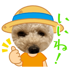 MUGI_20260123122616
