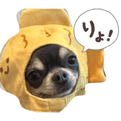 Nonon_20260123122721