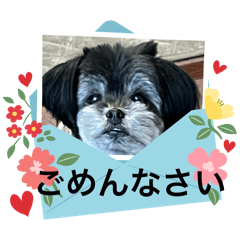 kana_20260123123330