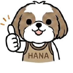 Shih Tzu Hana-chan