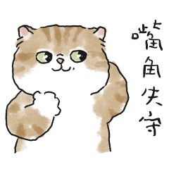 Oba cat37-ginger cat