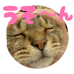 Yukie_FamilyStamp3110-10