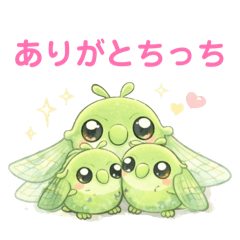 SUZU_20260123191253