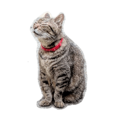 icedragon_20260123201038