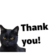 komikenyan_20260123201929