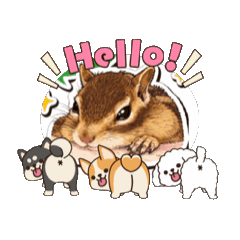 chechegina_20260124074517