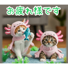 [お疲れ様です専用]ウーパールーパー猫