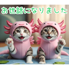 [お世話になりました]ウーパールーパー猫