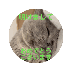 yoichi_20260124084527