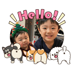 Taroo_20260123155146