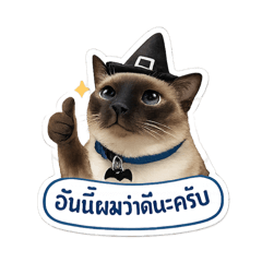 I love my job jubjub