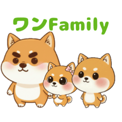 Mochipi_20260121165800