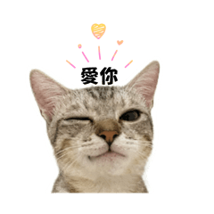 小乖小玖阿福小花