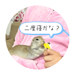 momo_20260123164723