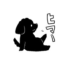 Black toy poodle noa