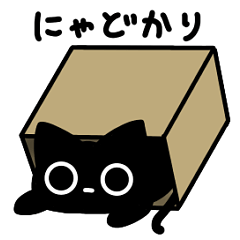 (◉-◉)きょむねこノア