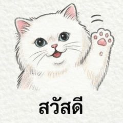 The white  persian cat