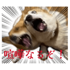 Konyokas_20260123213242