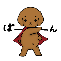 hirayama_20260123212613