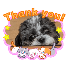 MOW321_20260123140517