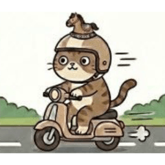 咚咚的一日
