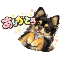 Maroron_20260123193816