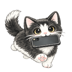 毎日使えるシロクロねこ