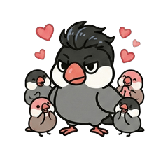 Chubby Java Sparrow Daily - Handsome