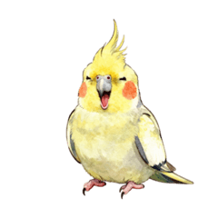 玄鳳小太陽日常