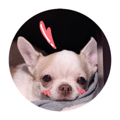 咪寶與好朋友貝貝