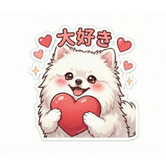 White Japanese Spitz(Japanese)