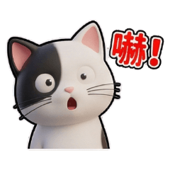 圓滾滾黑白貓：日常情緒篇