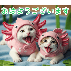 [おはようございます]ウーパールーパー猫