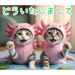 [どういたしまして専用]ウーパールーパー猫