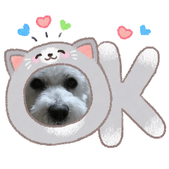 ikuko_20260123213910